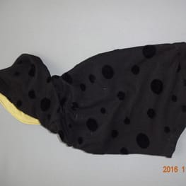 古都さんの作品