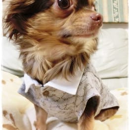 roncoさんの作品