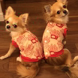 anirokitchenさんの作品