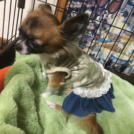 yukichizさんの作品