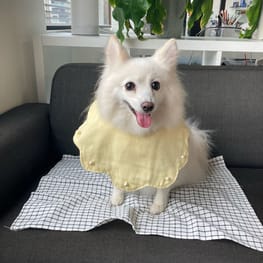 WKSchatzさんの作品