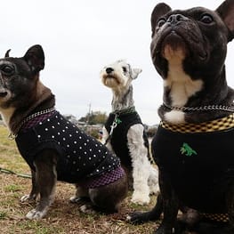 ちびっこさんの作品