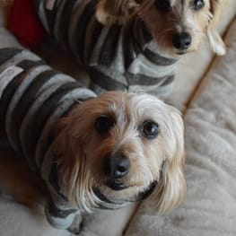 ひなはなさんの作品