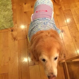 feelgoodさんの作品