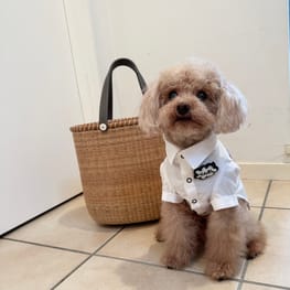 karlmamaさんの作品