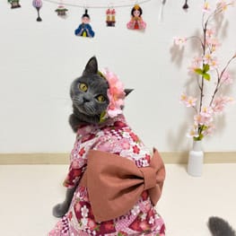 えりさんの作品