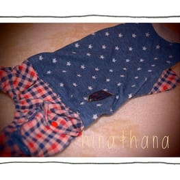 ひなはなさんの作品