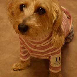 ひなはなさんの作品