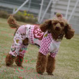 ちみこママさんの作品