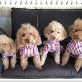 blancoさんの作品