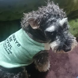 かんれいさんの作品