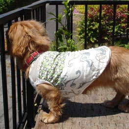 COCOままさんの作品