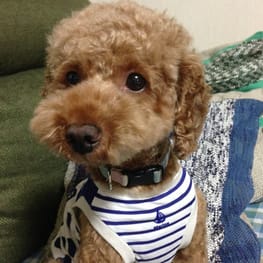 かんれいさんの作品