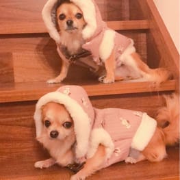 anirokitchenさんの作品