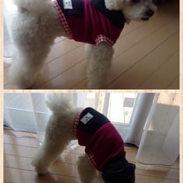 ももんがさんの作品