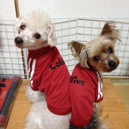 LabiOliママさんの作品