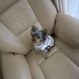 やすべえさんの作品