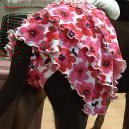 Aliceさんの作品