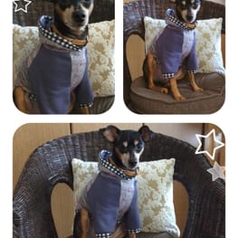 pochorintoさんの作品