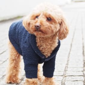 愛犬のための犬服、ペット服の型紙通販・作り方・教室 milla milla