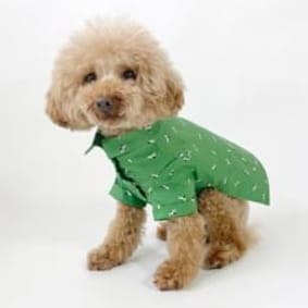 愛犬のための犬服、ペット服の型紙通販・作り方・教室 milla milla