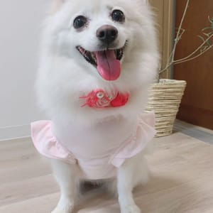 WKSchatzさんの作品