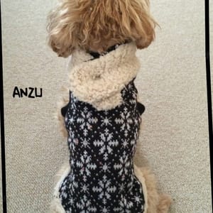 ANZUさんの作品