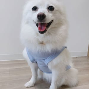 WKSchatzさんの作品