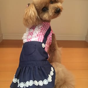 らくすさんの作品