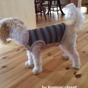 こむぎさんの作品