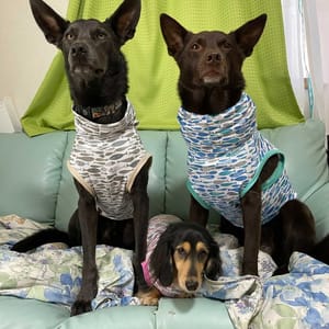 3ステップで作れる！無料タンクトップ｜犬服無料型紙・作り方通販
