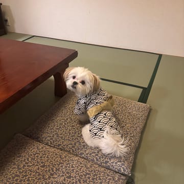 てんちゃんまま