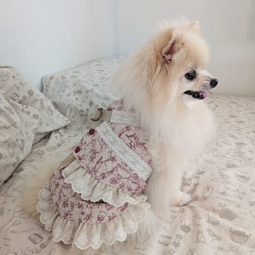 にこママ