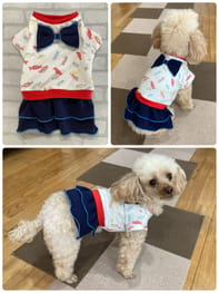 リボンワンピース Millacra 愛犬のための犬服 ペット服の型紙通販 作り方 教室 Milla Milla
