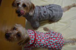レインコート Millacra 愛犬のための犬服 ペット服の型紙通販 作り方 教室 Milla Milla ミラミラ