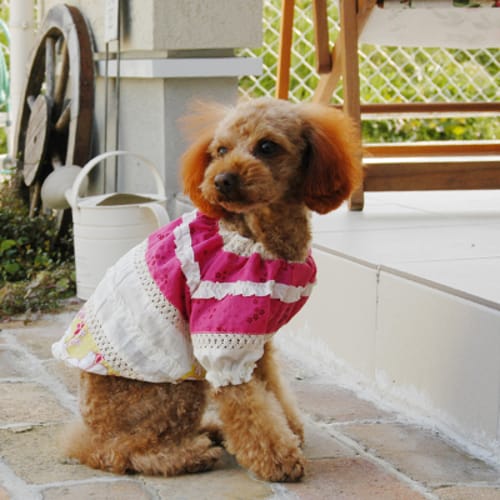 スモック チュニック 愛犬のための犬服 ペット服の型紙通販 作り方 教室 Milla Milla ミラミラ