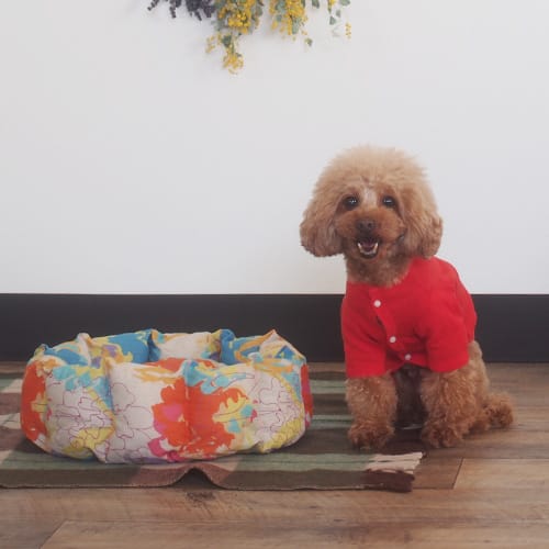 ラウンドベッド 愛犬のための犬服 ペット服の型紙通販 作り方 教室 Milla Milla ミラミラ