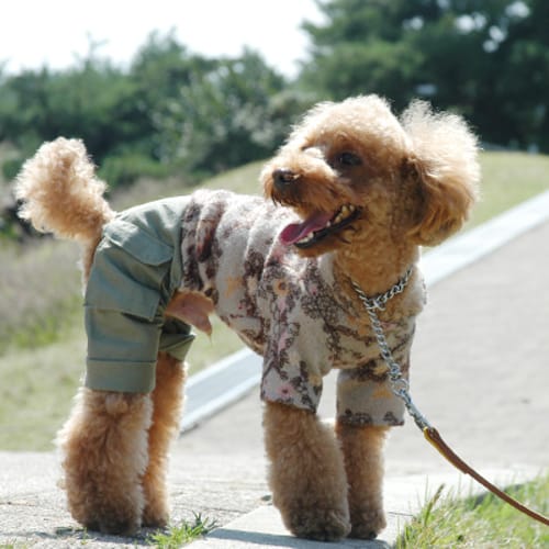 カバーオール つなぎ 愛犬のための犬服 ペット服の型紙通販 作り方 教室 Milla Milla ミラミラ