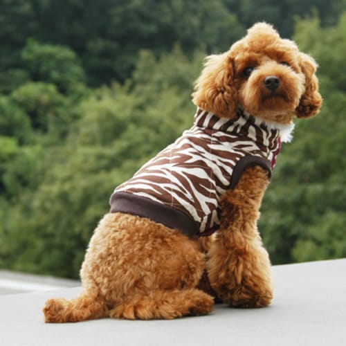 ダウンジャケット 愛犬のための犬服 ペット服の型紙通販 作り方 教室 Milla Milla ミラミラ