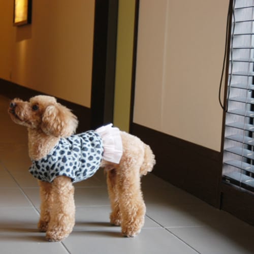 リボンワンピース 愛犬のための犬服 ペット服の型紙通販 作り方 教室 Milla Milla