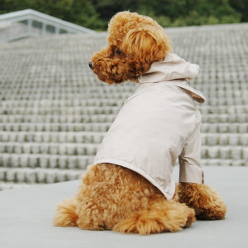 レインコート 愛犬のための犬服 ペット服の型紙通販 作り方 教室 Milla Milla ミラミラ