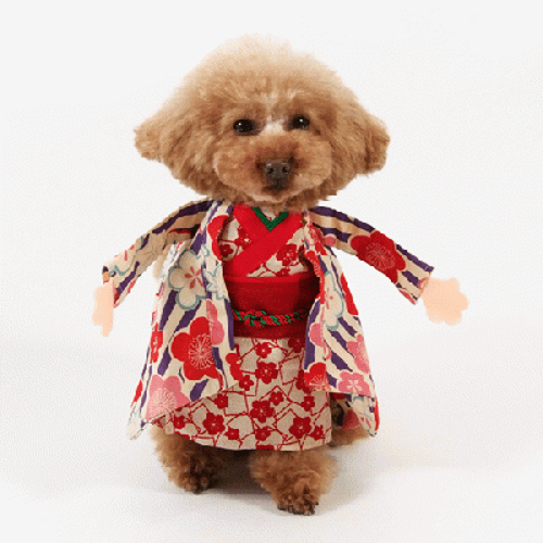 姫様きぐるみコスチューム 愛犬のための犬服 ペット服の型紙通販 作り方 教室 Milla Milla