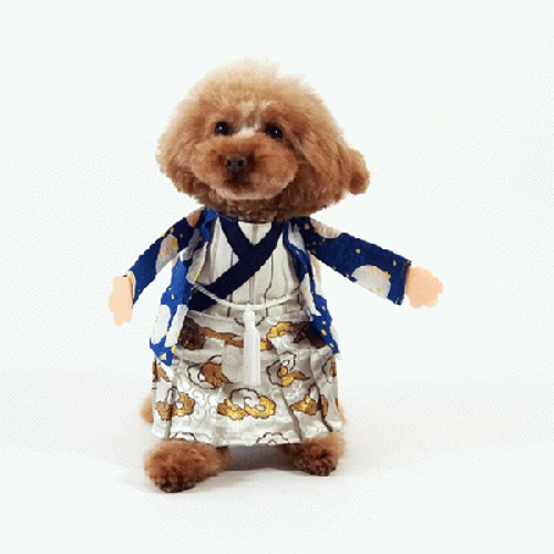 殿様コスチューム 愛犬のための犬服 ペット服の型紙通販 作り方 教室 Milla Milla