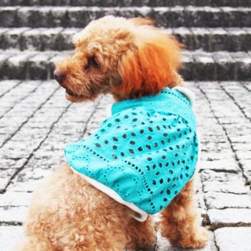 バルーンブラウス 愛犬のための犬服 ペット服の型紙通販 作り方 教室 Milla Milla