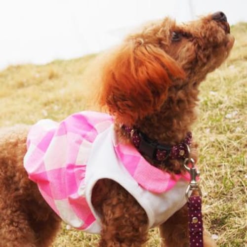 バルーンブラウス 愛犬のための犬服 ペット服の型紙通販 作り方 教室 Milla Milla ミラミラ