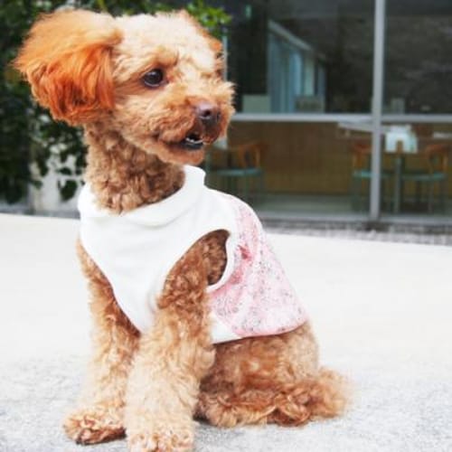 バルーンブラウス 愛犬のための犬服 ペット服の型紙通販 作り方 教室 Milla Milla ミラミラ