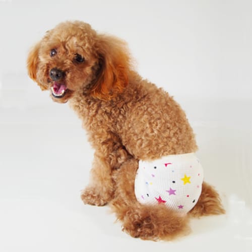 サニタリー マナーパンツ 愛犬のための犬服 ペット服の型紙通販 作り方 教室 Milla Milla