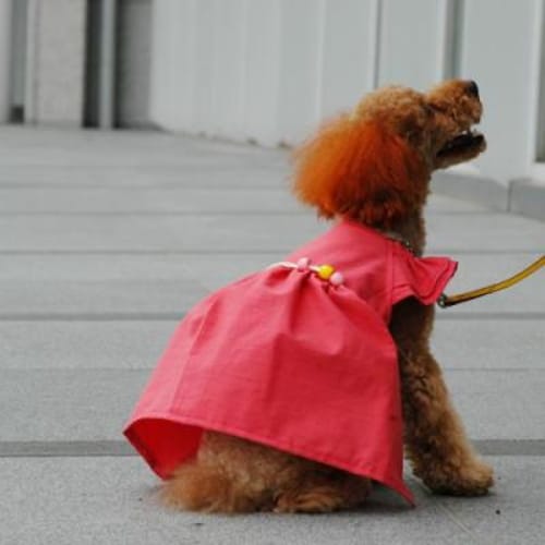 サマードレス 愛犬のための犬服 ペット服の型紙通販 作り方 教室 Milla Milla