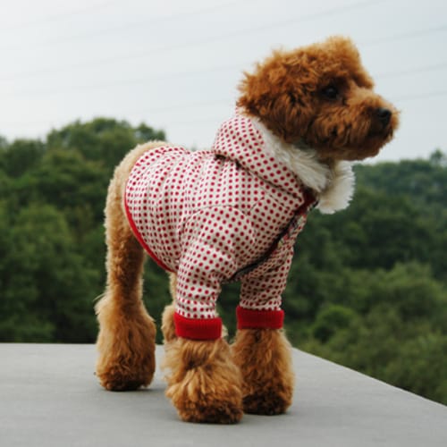 ダウンジャケット 愛犬のための犬服 ペット服の型紙通販 作り方 教室 Milla Milla ミラミラ
