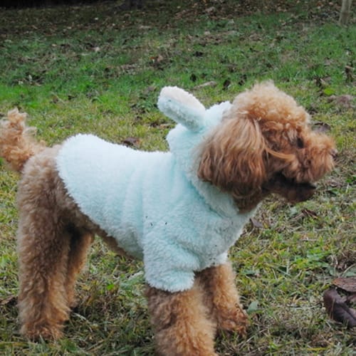 うさぎ パンダ変身コスチューム 愛犬のための犬服 ペット服の型紙通販 作り方 教室 Milla Milla